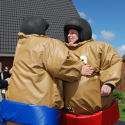 Sumo-Wrestling